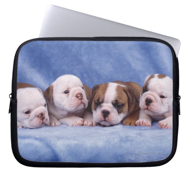 Protection Pour Ordinateur Portable Chiens de taupe (Devant)