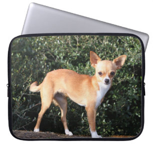 Protection Pour Ordinateur Portable Chiot de chiwawa de tasse de thé
