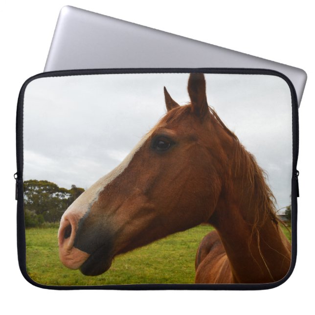 Protection Pour Ordinateur Portable Chocolat Chestnut Horse, (Devant)