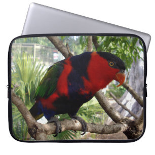 Protection Pour Ordinateur Portable Ciel Cheeky Rainbow Lorikeet,
