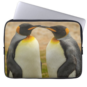 Protection Pour Ordinateur Portable Couple de manchots royaux, Falklands