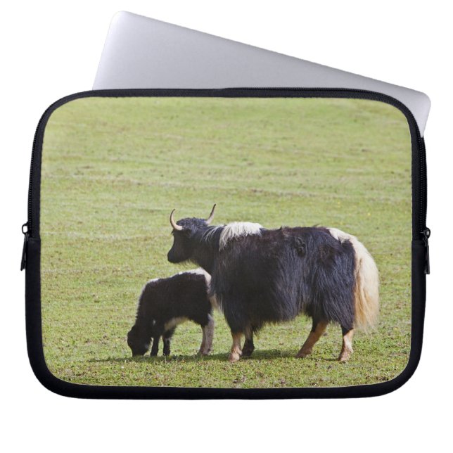 Protection Pour Ordinateur Portable Cow & Calf Yak | Lijiang (Devant)