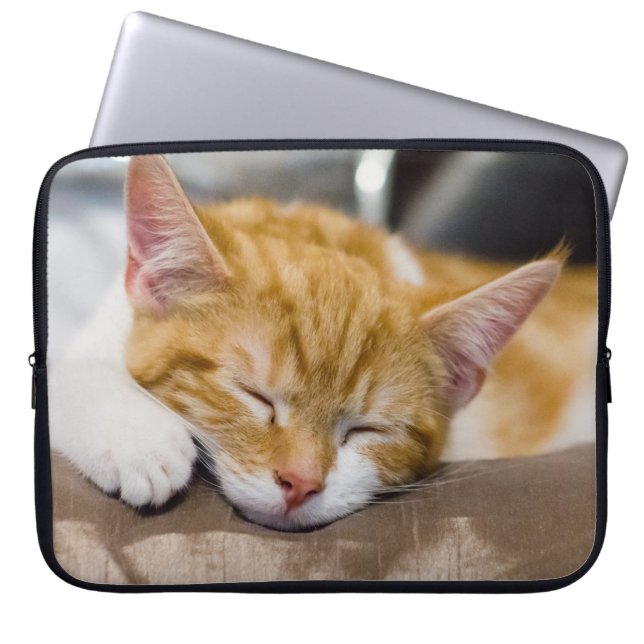 Protection Pour Ordinateur Portable Cute Kitten (Devant)