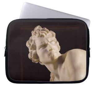 Protection Pour Ordinateur Portable David, 1623-24 (marbre) (détail)