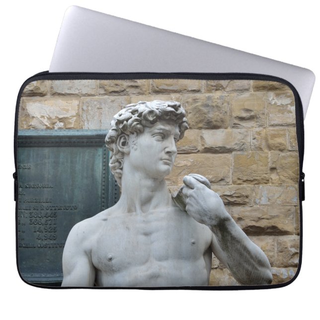 Protection Pour Ordinateur Portable David de Michel-Ange (Devant)