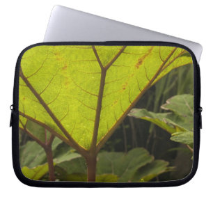 Protection Pour Ordinateur Portable Détail de plante dans un jardin botanique, Équateu