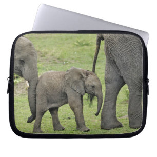Protection Pour Ordinateur Portable Éléphant d'Afrique femelle avec bébé
