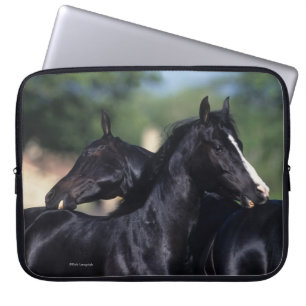 Protection Pour Ordinateur Portable Éraflure arabe de cheval