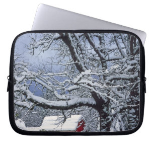 Protection Pour Ordinateur Portable États-Unis, Oregon, comté de Clackamas. La neige f