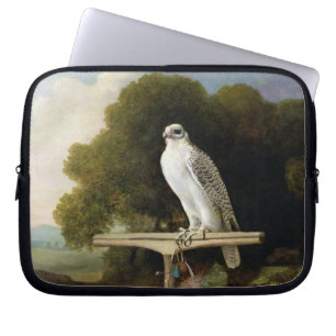 Protection Pour Ordinateur Portable Faucon du Groenland (faucon gris), 1780 (huile sur