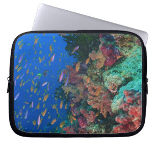 Protection Pour Ordinateur Portable Fées basslets schooling (Pseudanthias