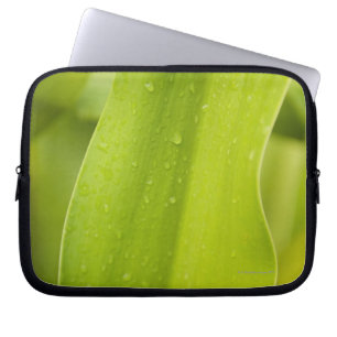 Protection Pour Ordinateur Portable Fermez-vous de la feuille tropicale humide