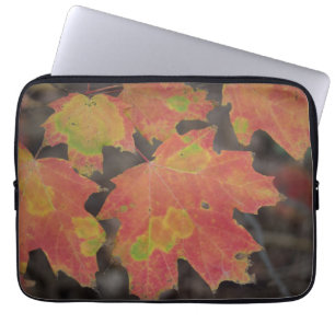 Protection Pour Ordinateur Portable Feuilles d'automne