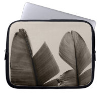 Feuilles de bananiers à Sepia