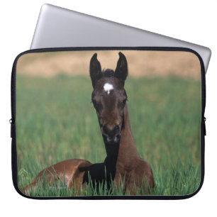 Protection Pour Ordinateur Portable Fixation arabe de poulain