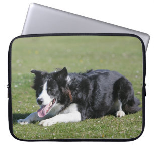 Protection Pour Ordinateur Portable Fixation de border collie