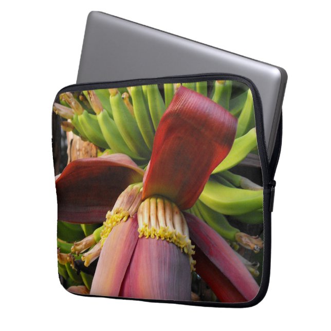 Protection Pour Ordinateur Portable Fleur de banane (devant gauche)