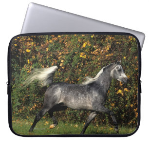 Protection Pour Ordinateur Portable Fonctionnement d'Arabes : Automne