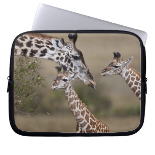 Protection Pour Ordinateur Portable Girafe maasaï (Giraffa tippelskirchi)