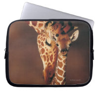 Giraffe adulte avec veau (Giraffa camelopardalis)