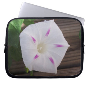 Protection Pour Ordinateur Portable Gloire du matin