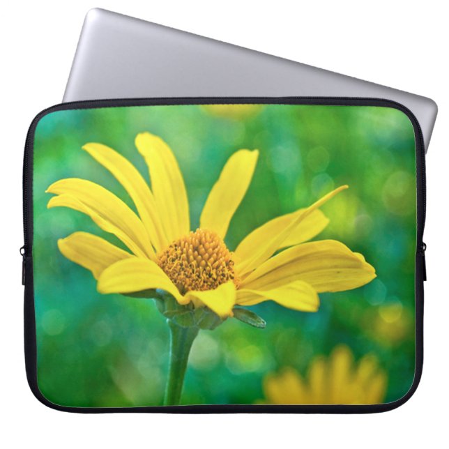 Protection Pour Ordinateur Portable Goldie (Devant)