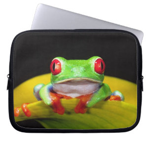 Protection Pour Ordinateur Portable Grenouille aux yeux rouges, Agalychinis callidryas