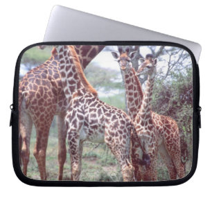Protection Pour Ordinateur Portable Groupe de girafes ou troupeau avec jeunes, Giraffa