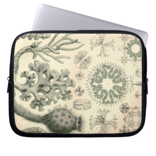 Protection Pour Ordinateur Portable Haeckel vintage