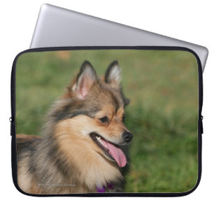 Protection Pour Ordinateur Portable Halètement de Headshot de Pomeranian
