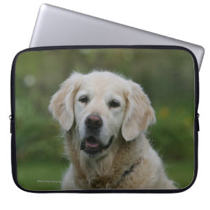 Protection Pour Ordinateur Portable Headshot 2 de golden retriever