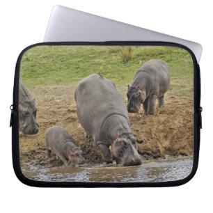 Protection Pour Ordinateur Portable Hippopotame, Hippopotamus amphibius, Serengeti