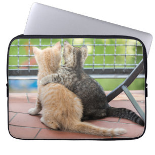 Protection Pour Ordinateur Portable Images de Getty deux chatons sur un balcon