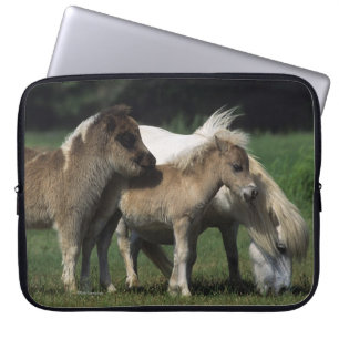 Protection Pour Ordinateur Portable Jument et poulains miniatures 3