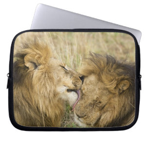 Protection Pour Ordinateur Portable Kenya, Masai Mara