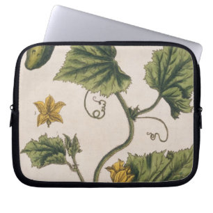 Protection Pour Ordinateur Portable Le concombre de jardin, plaquent 4 "d'un de fines