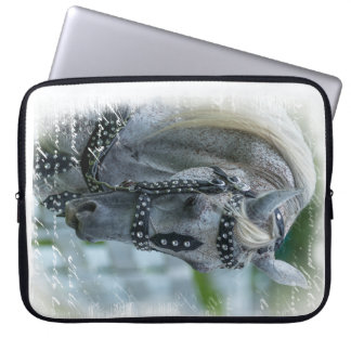 Protection Pour Ordinateur Portable Le SG rêve l'ordinateur portable Sleveve