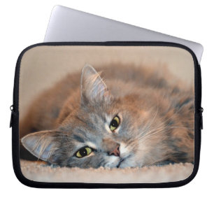 Protection Pour Ordinateur Portable Long chapeau bleu russe par Shirley Taylor