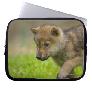 Protection Pour Ordinateur Portable Loup de bébé