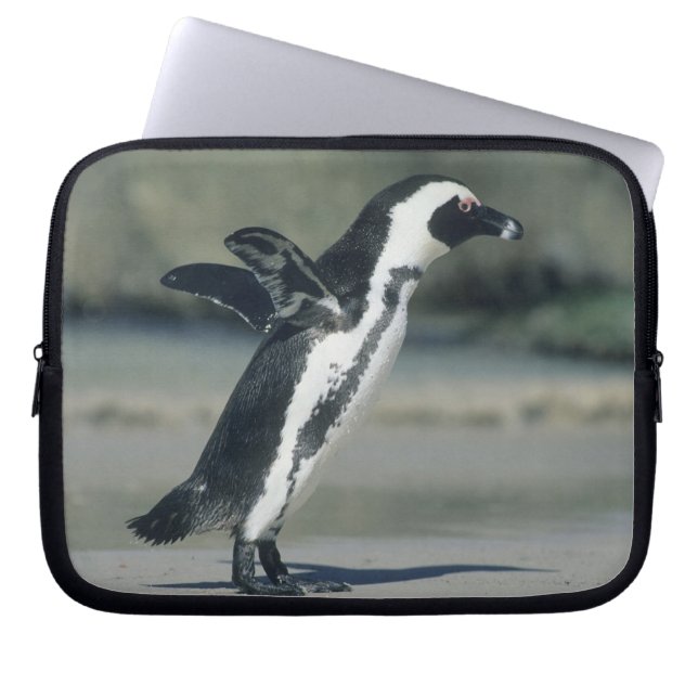 Protection Pour Ordinateur Portable Manchot du Cap (Devant)