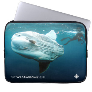 Protection Pour Ordinateur Portable Mola Mola