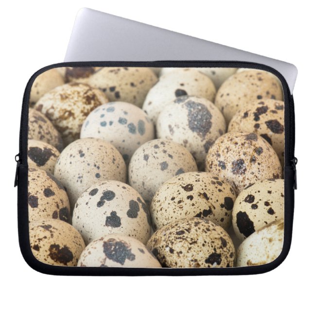 Protection Pour Ordinateur Portable Oeufs de caille (Devant)