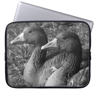 Protection Pour Ordinateur Portable Oies grises (B&W)