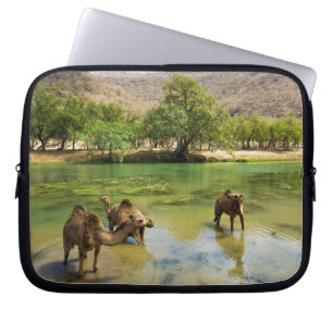 Protection Pour Ordinateur Portable Oman, Wadi darbat