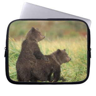 Protection Pour Ordinateur Portable ours brun, Ursus arctos, grizzly, Ursus 2