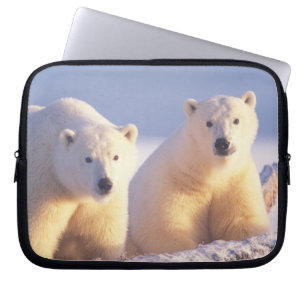 Protection Pour Ordinateur Portable Ours polaire femelle avec ourson sur la banquise