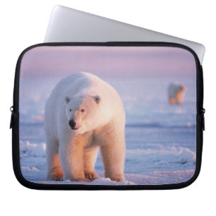 Protection Pour Ordinateur Portable ours polaire, Ursus maritimus