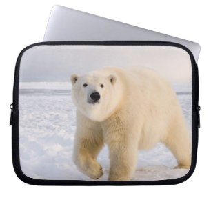 Protection Pour Ordinateur Portable ours polaire, Ursus maritimus, sur glace et neige,
