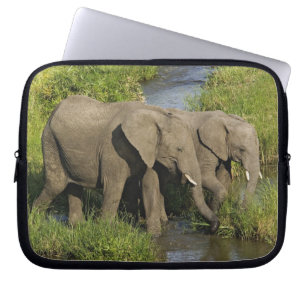 Protection Pour Ordinateur Portable Paire d'éléphants d'Afrique Masai Mara