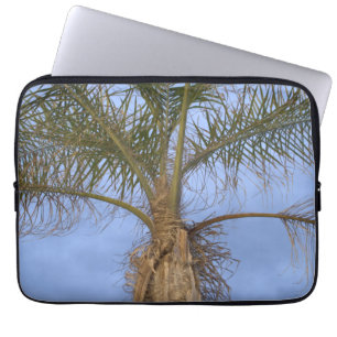 Protection Pour Ordinateur Portable Palm Tree Blue Sky Ordinateur portable Sleeve